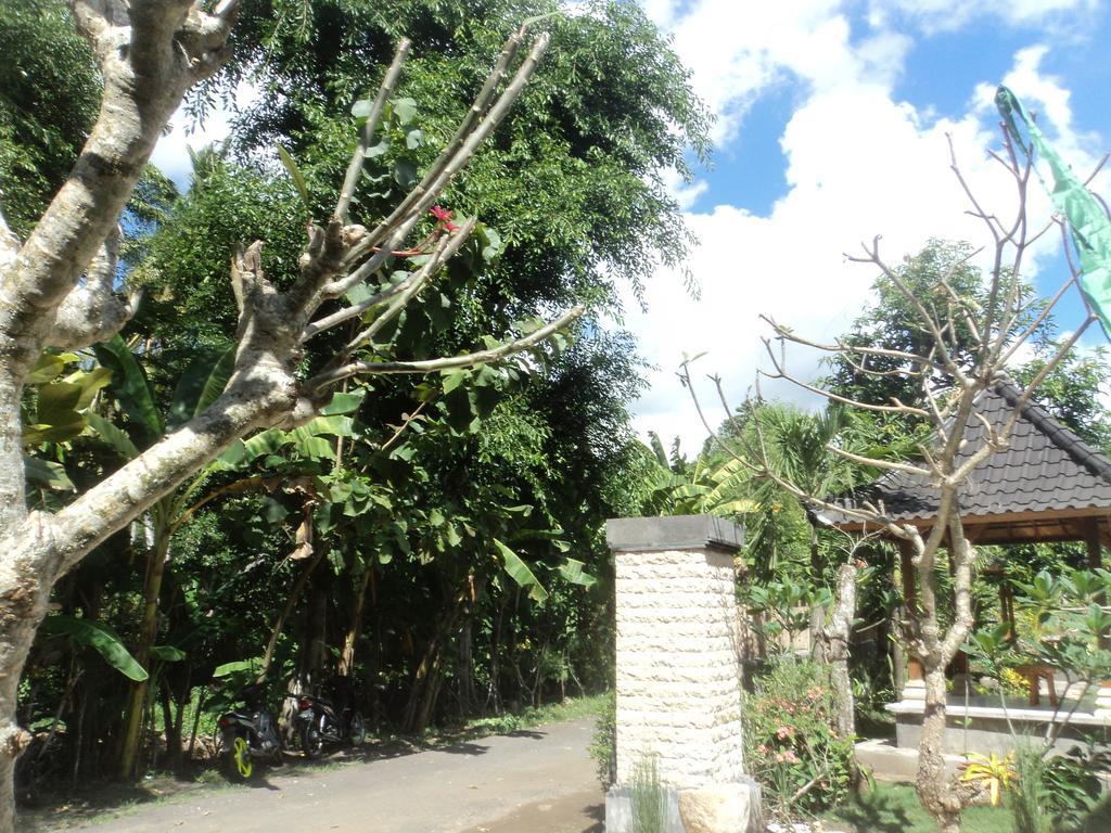 Villa Green House Ped Ngoại thất bức ảnh