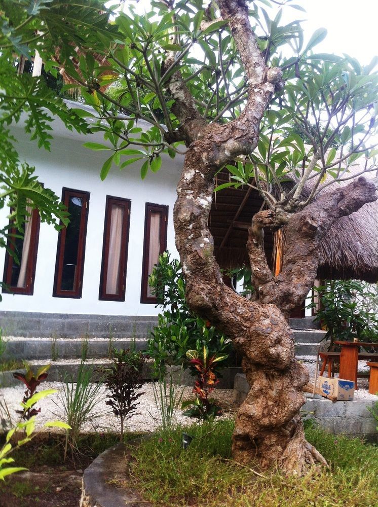 Villa Green House Ped Ngoại thất bức ảnh