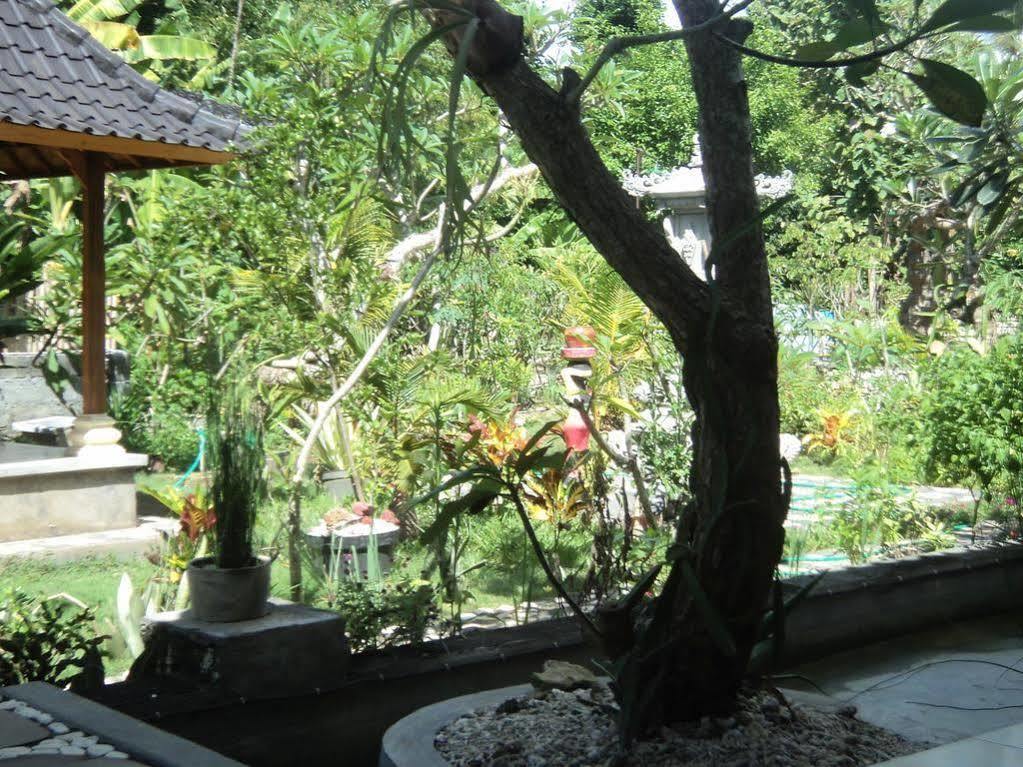 Villa Green House Ped Ngoại thất bức ảnh