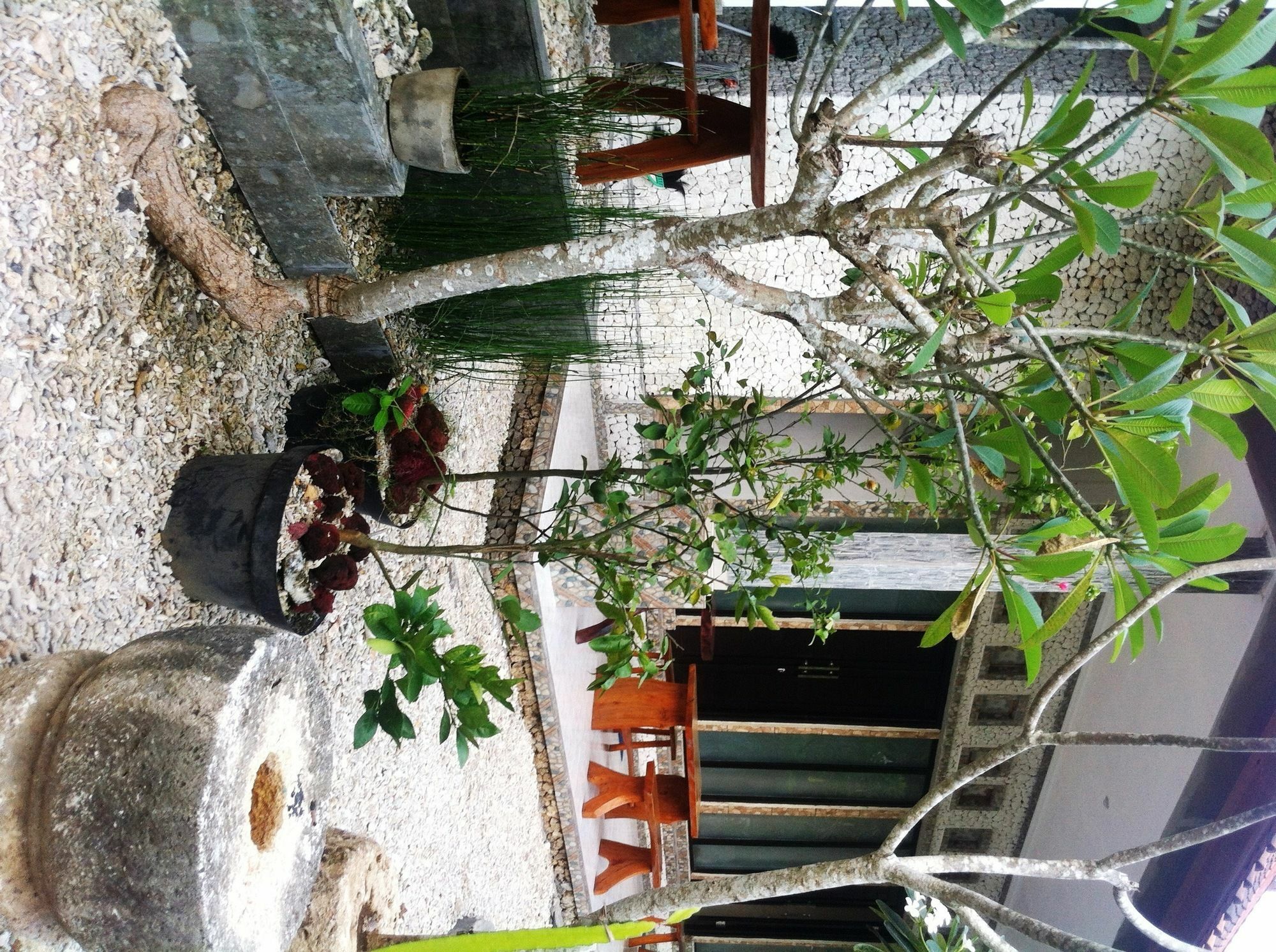 Villa Green House Ped Ngoại thất bức ảnh