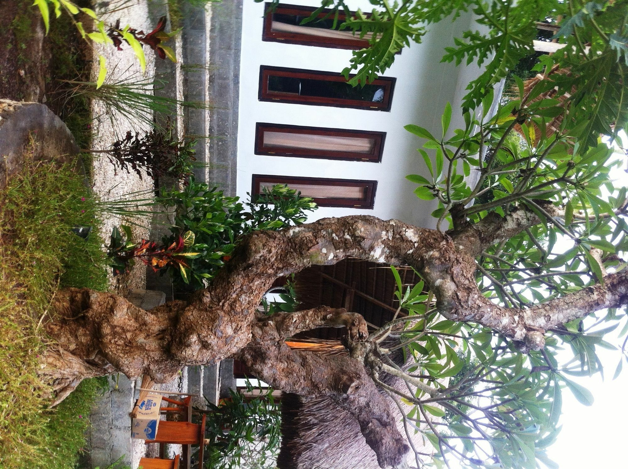 Villa Green House Ped Ngoại thất bức ảnh