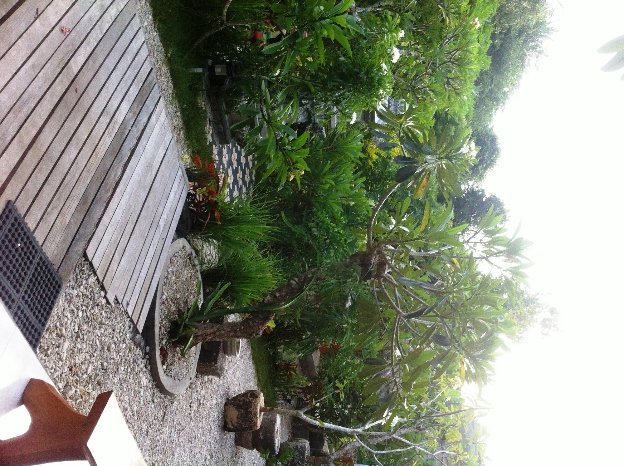 Villa Green House Ped Ngoại thất bức ảnh