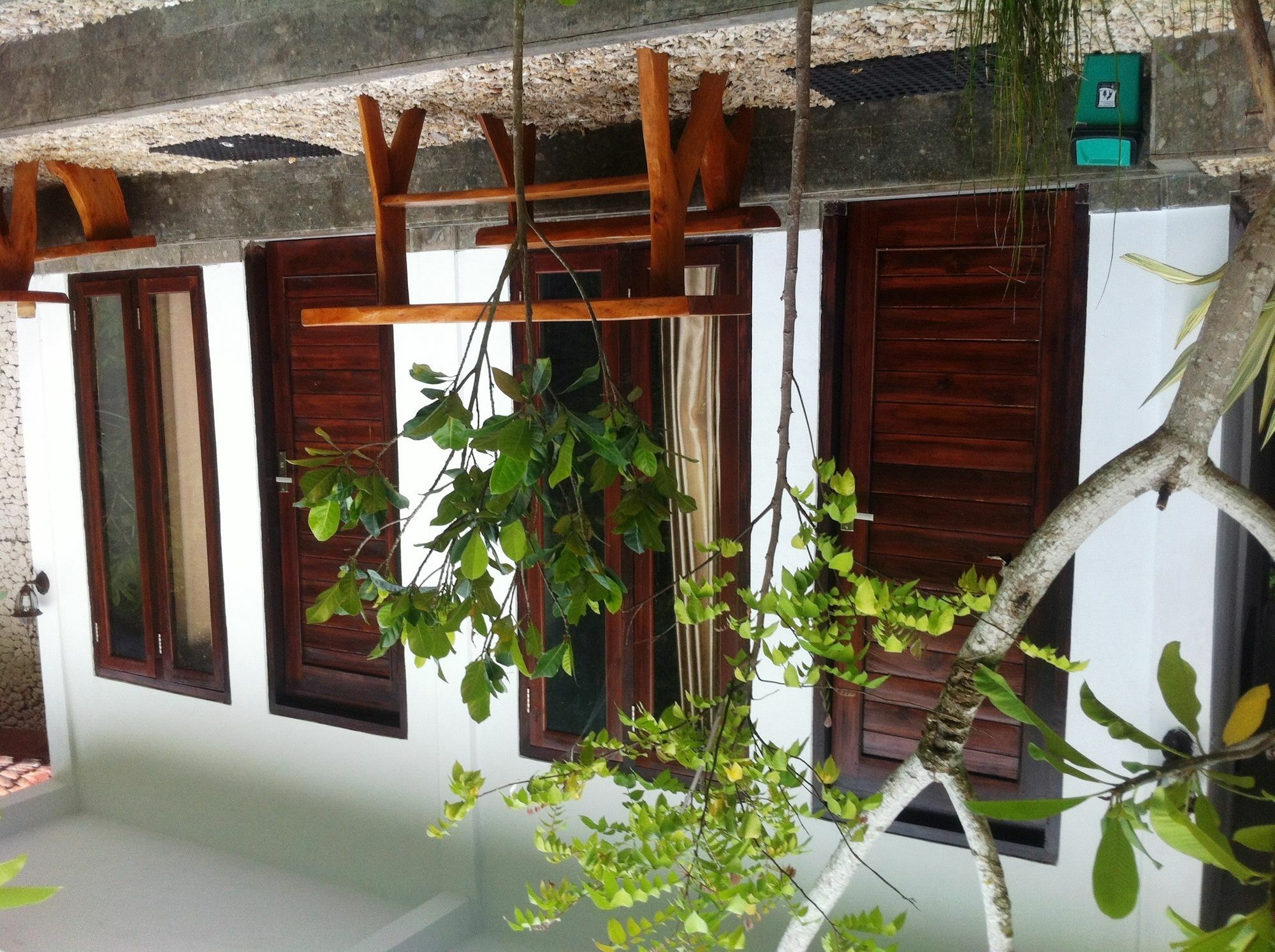 Villa Green House Ped Ngoại thất bức ảnh